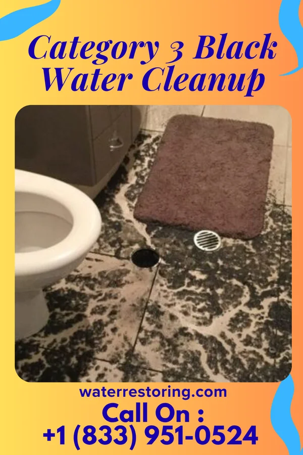Category 3 Black Water Cleanup in Lakeview, GA