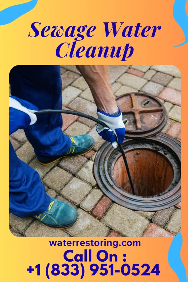 Sewage Water Cleanup in Lakeview, GA